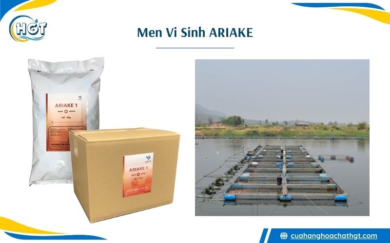 Men vi sinh Ariake 1