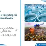 BKC là gì? Tính chất và công dụng của thuốc Benzalkonium Chloride