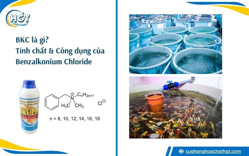 BKC là gì? Tính chất và công dụng của thuốc Benzalkonium Chloride