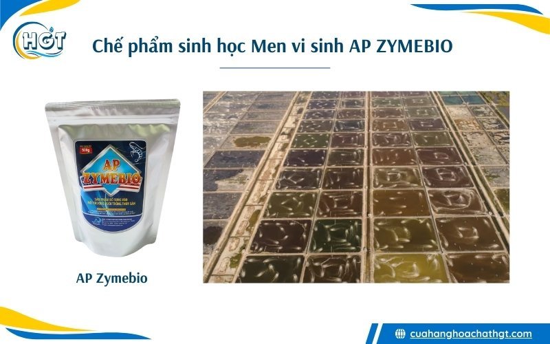 Chế phẩm sinh học men vi sinh AP Zymebio