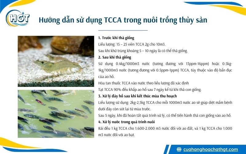 Hướng dẫn sử dụng TCCA trong nuôi tôm cá và ao nuôi trồng thủy sản