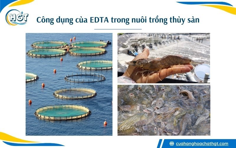 Công dụng, lợi ích khi sử dụng EDTA trong ao nuôi trồng thủy hải sản tôm cá