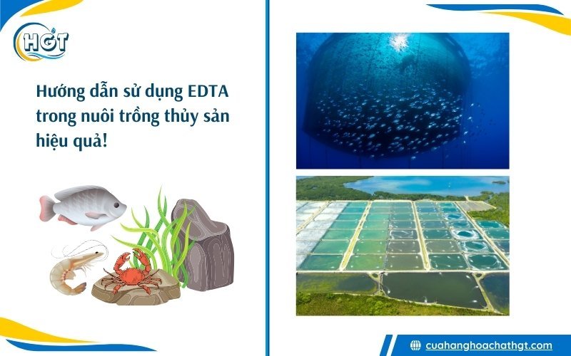 Hướng dẫn sử dụng EDTA trong nuôi trồng thủy sản tôm cá hiệu quả