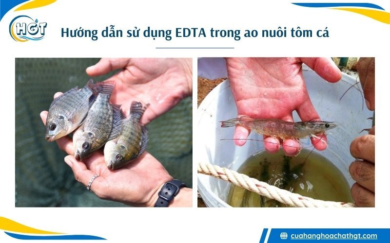 Ứng dụng của EDTA trong nuôi trồng thủy sản