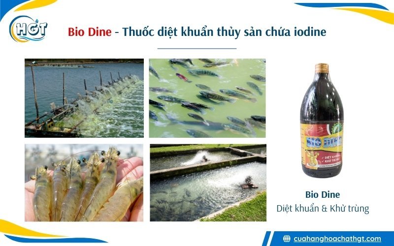 Bio Dine - Thuốc thủy sản iodine cho tôm cá diệt khuẩn hiệu quả