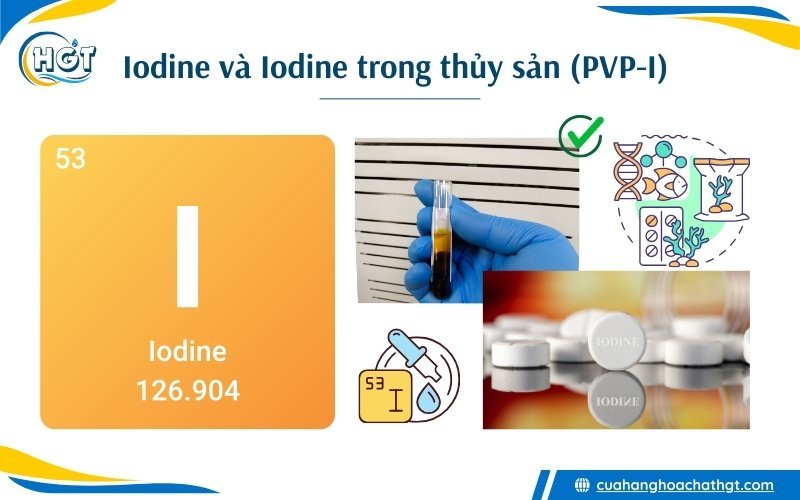 Iodine là gì? Iodine trong thủy sản là PVP-I