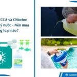 So sánh TCCA và Chlonine - Loại nào tốt? Nên mua loại nào để xử lý nước