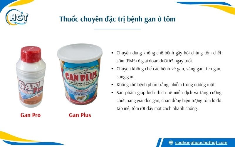 Thuốc chuyên đặc trị điều trị về bệnh gan ở tôm