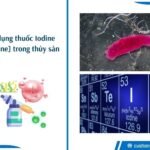 Thuốc diệt khuẩn iodine dùng trong thủy sản - PVP-Iodine