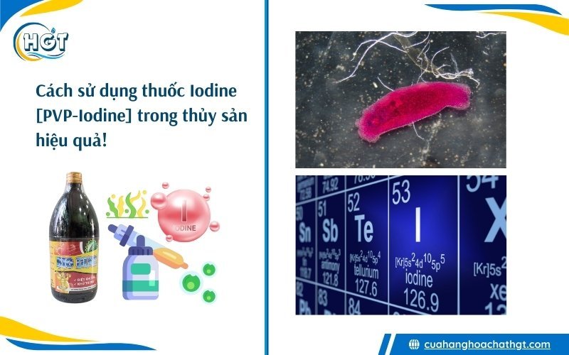 Thuốc diệt khuẩn iodine dùng trong thủy sản - PVP-Iodine