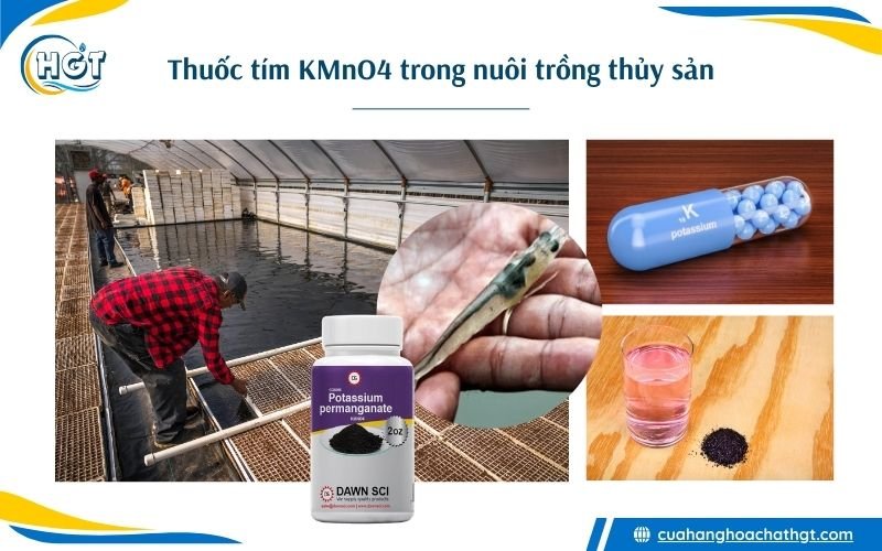 Giới thiệu thuốc tím KMnO4 trong nuôi trồng thủy sản tôm cá