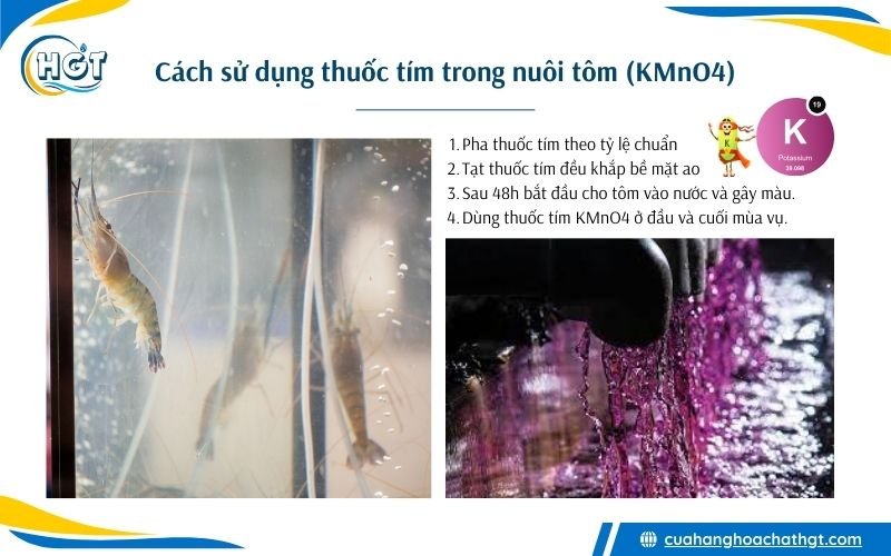 Hướng dẫn sử dụng thuốc tím KMnO4 trong ao nuôi tôm
